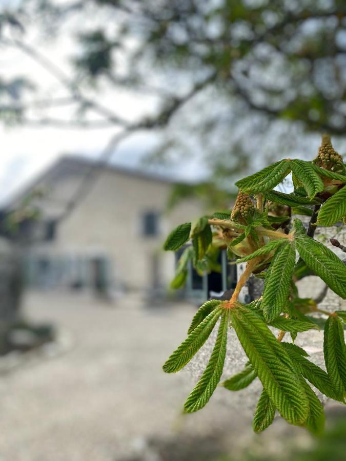 Figtrees Bed & Breakfast Margueron Luaran gambar